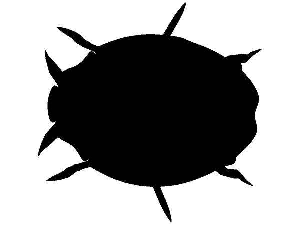 Животные 3056 Животные 3056