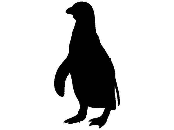 Животные 4170