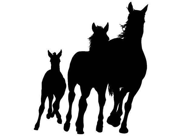 Животные 4083