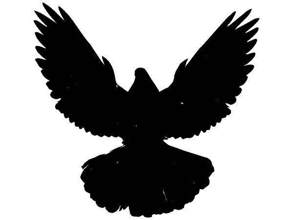 Животные 4322 Животные 4322