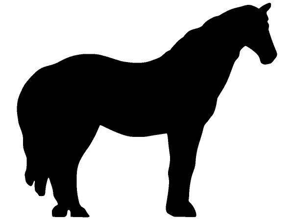 Животные 3754