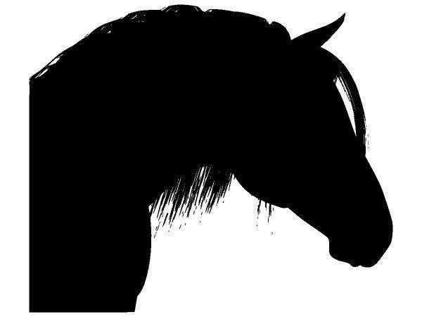 Животные 4099