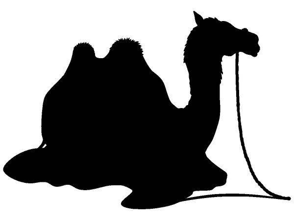 Животные 705 Животные 705