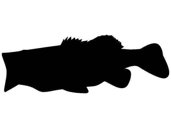 Животные 2959 Животные 2959