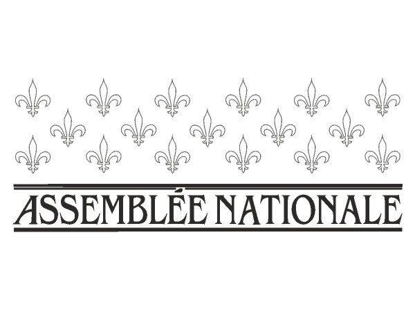 Assemblee Nationale logo
