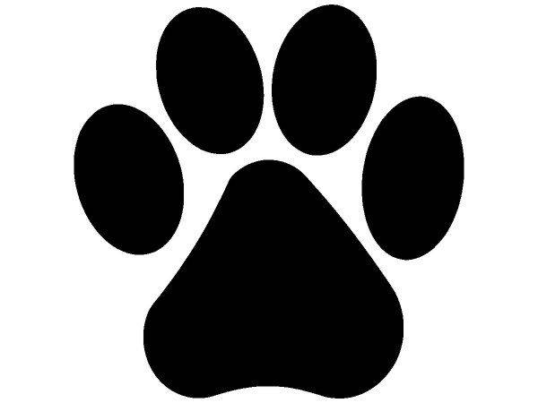 Животные 2203 Животные 2203