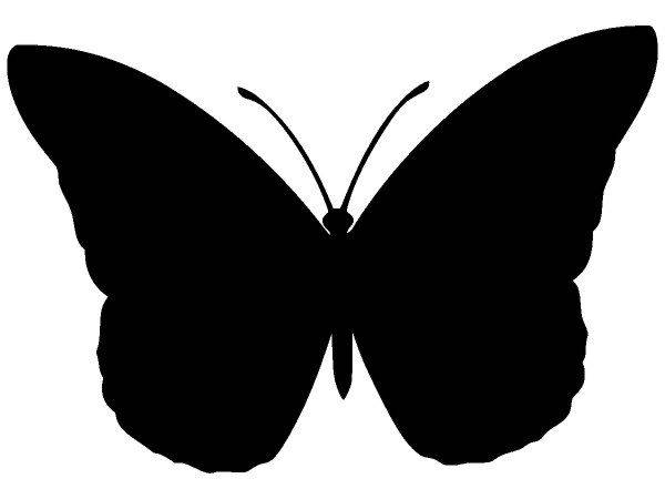 Животные 2718