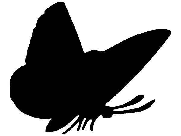 Животные 3921 Животные 3921