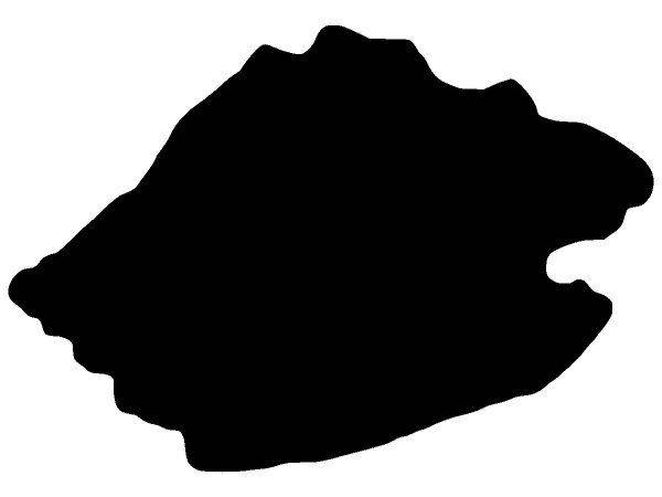 Животные 3079 Животные 3079