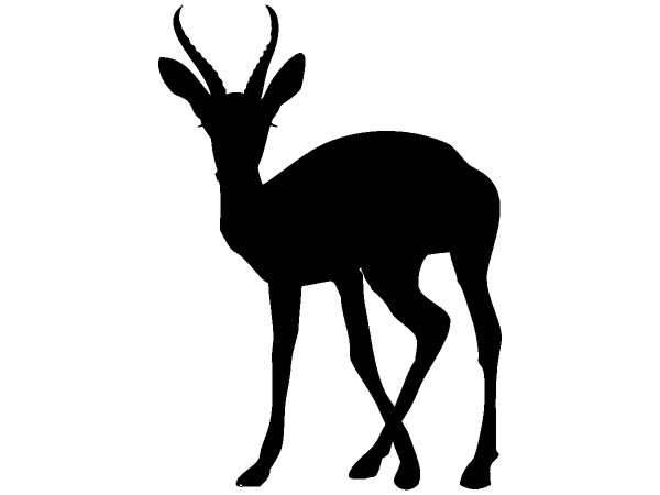 Животные 409