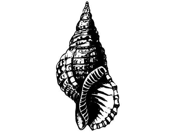 Животные 1289