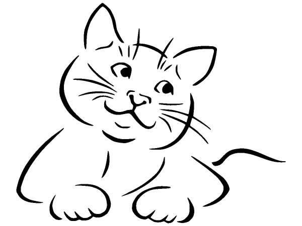 Животные 881