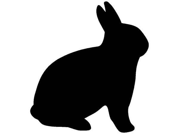 Животные 362