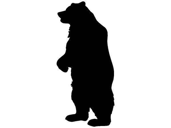 Животные 706 Животные 706