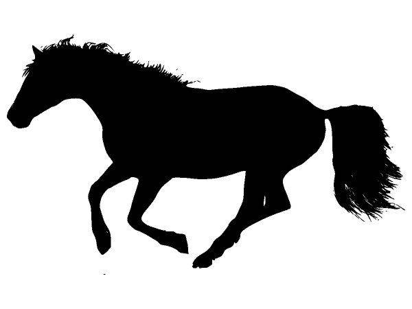 Животные 3542 Животные 3542