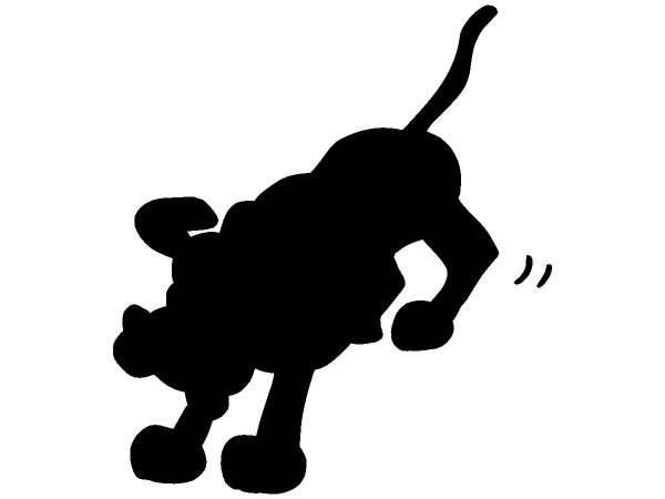 Животные 416