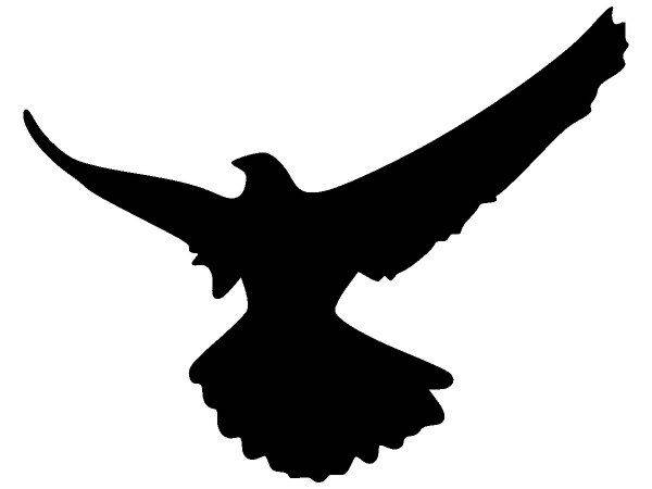 Животные 1578 Животные 1578