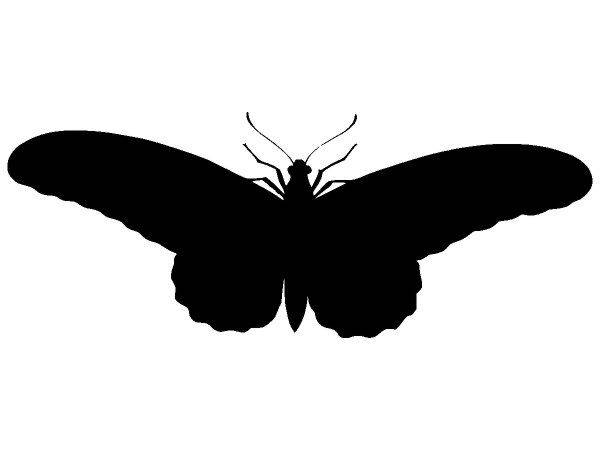 Животные 3241 Животные 3241