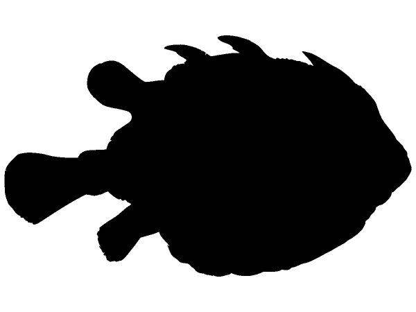 Животные 2751