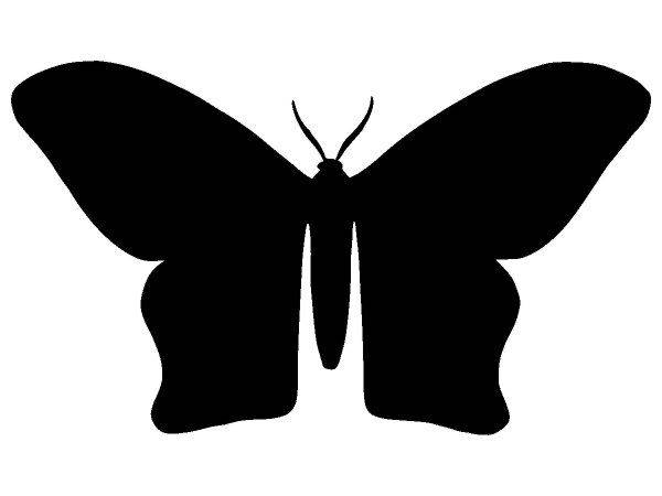 Животные 3237 Животные 3237