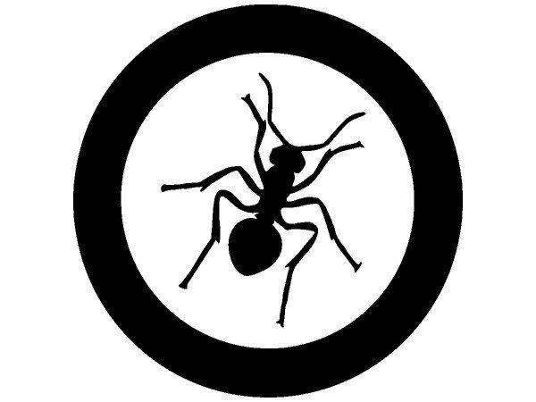 Животные 3191 Животные 3191