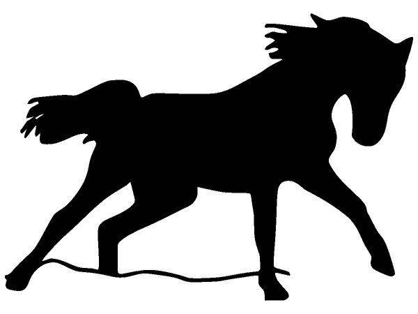 Животные 4131