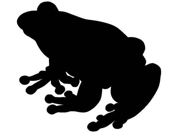 Животные 2452 Животные 2452