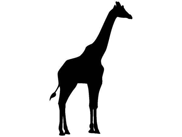 Животные 3100 Животные 3100