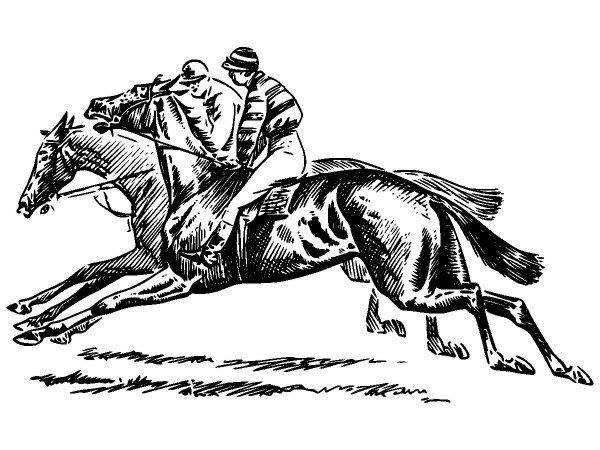 Животные 2595