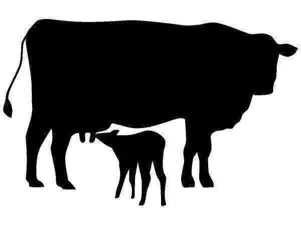 Животные 3173 Животные 3173