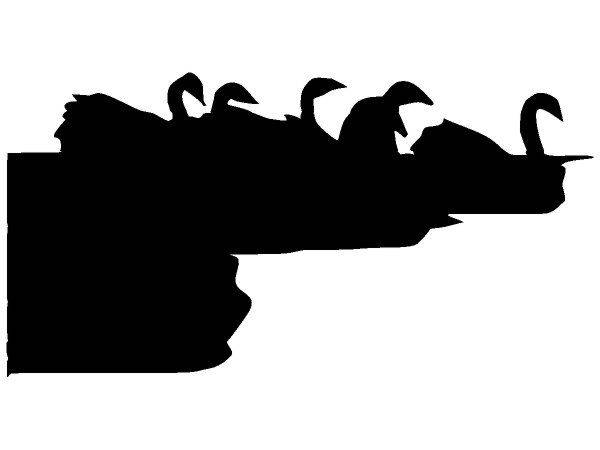 Животные 564 Животные 564