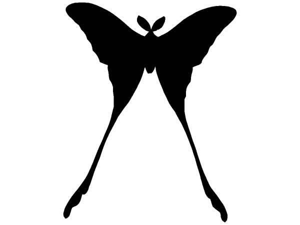 Животные 1197