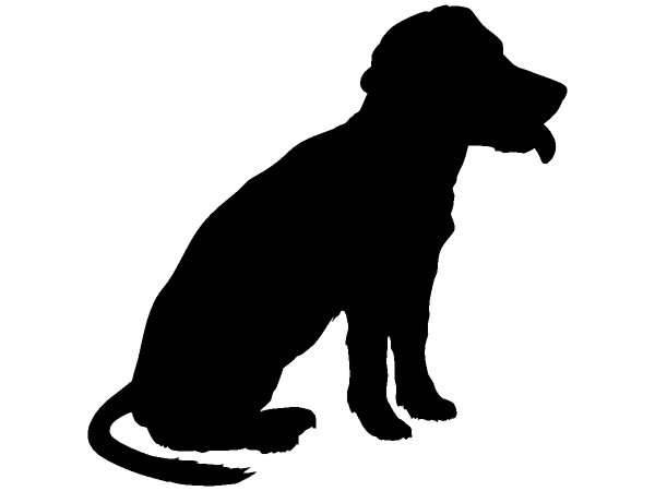 Животные 418