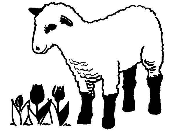 Животные 298 Животные 298