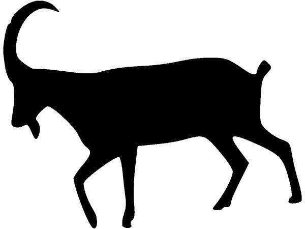 Животные 1334