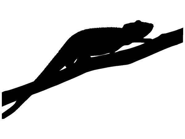 Животные 4158