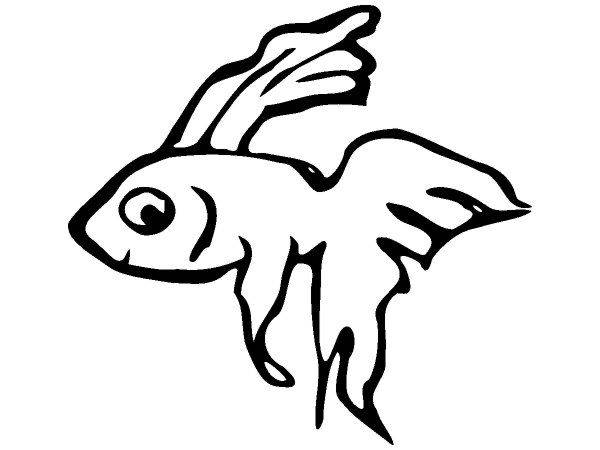 Животные 1166