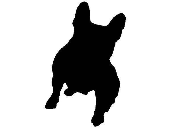 Животные 3253 Животные 3253