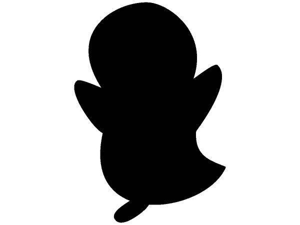 Животные 1261