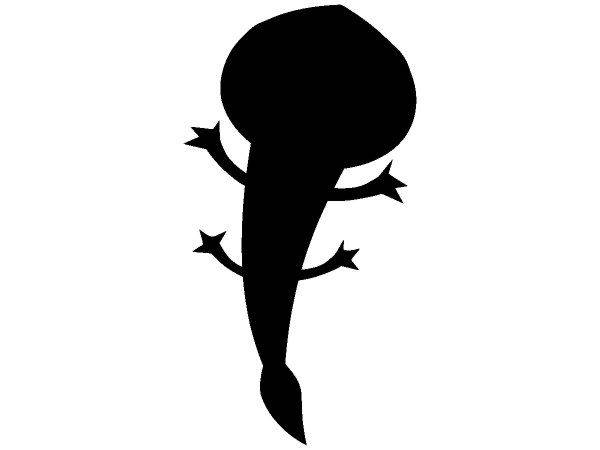 Животные 2068