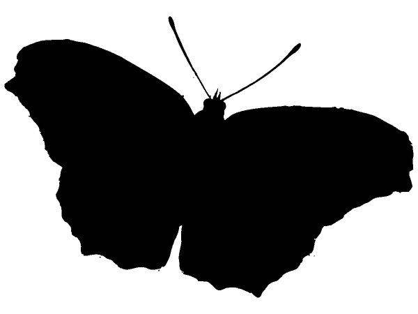 Животные 2170 Животные 2170