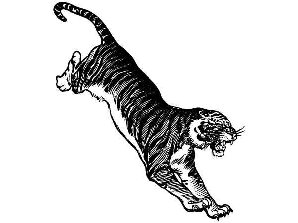 Животные 858