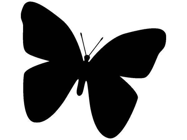 Животные 3037