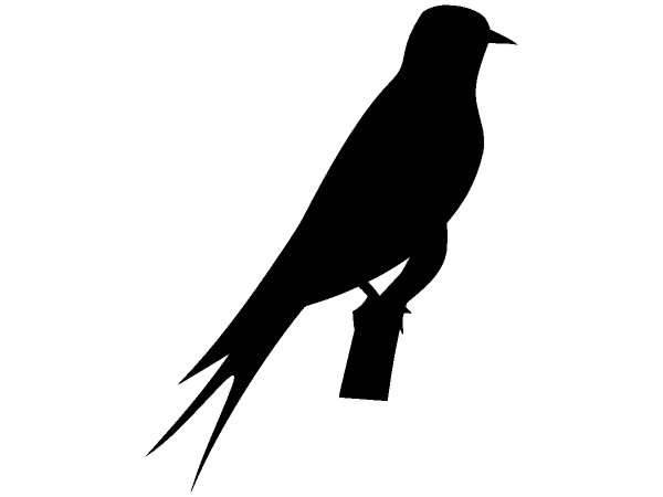 Животные 238