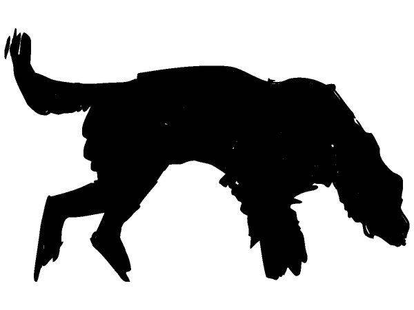 Животные 369