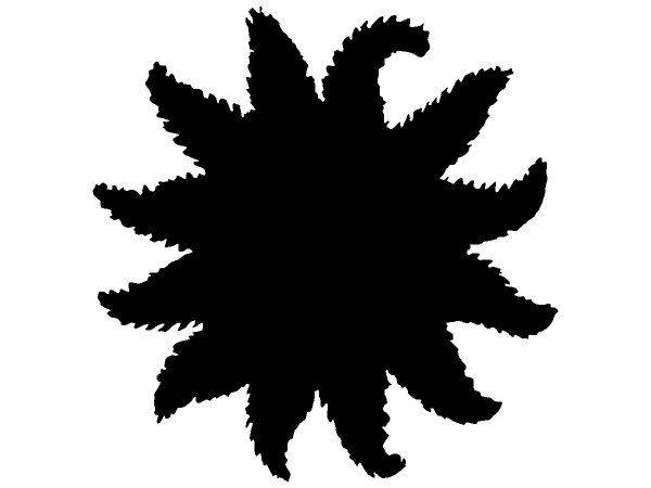 Животные 3848