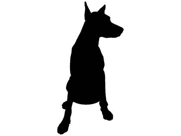 Животные 2193 Животные 2193