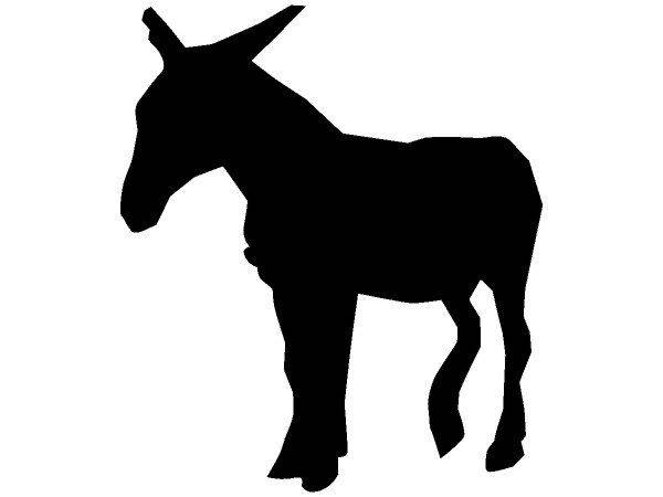 Животные 1619 Животные 1619