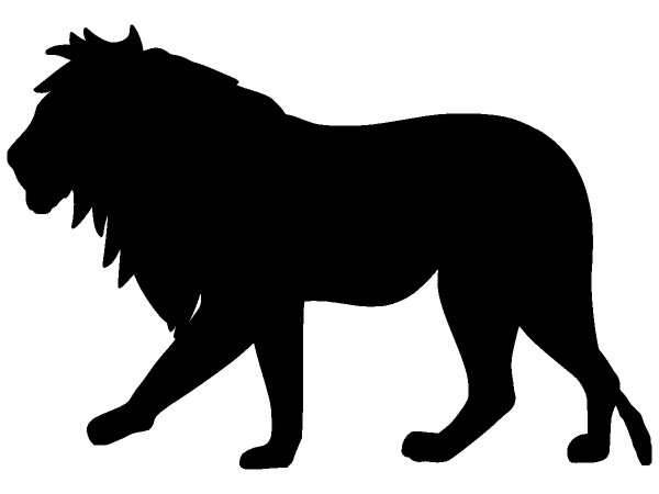 Животные 382