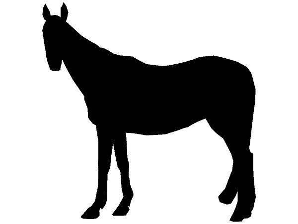 Животные 466